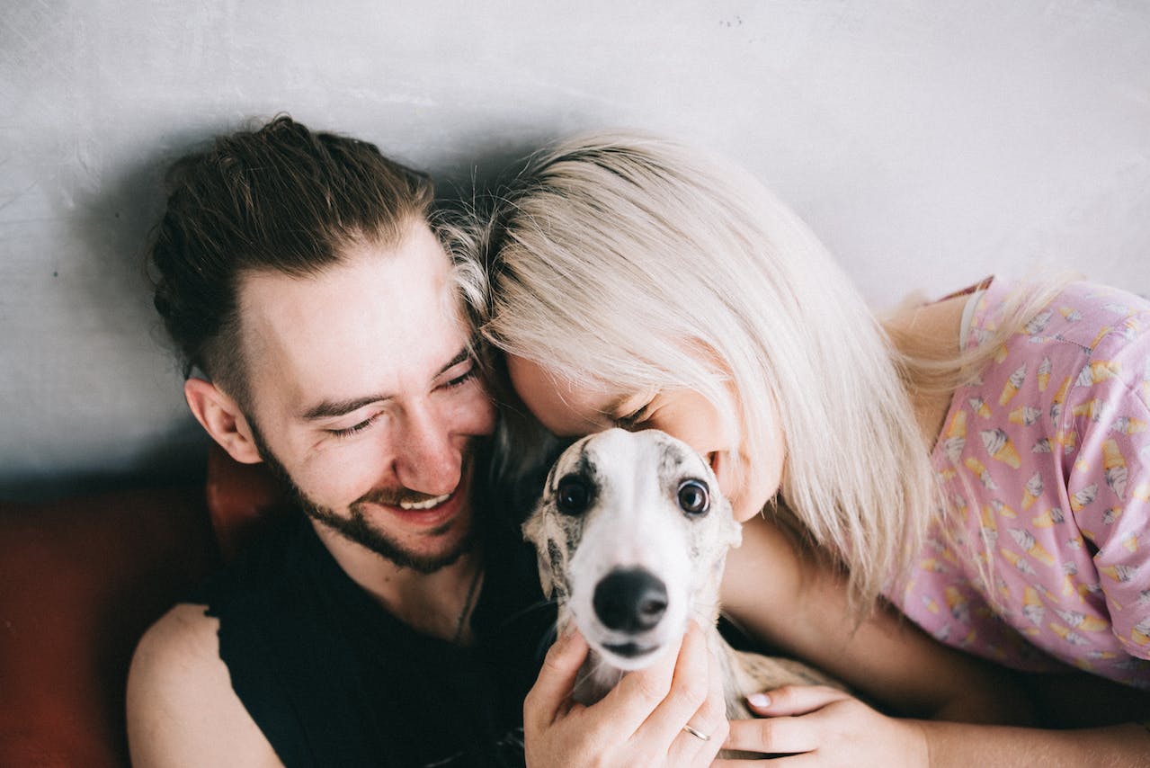 A small dog cuddling with male and female owners