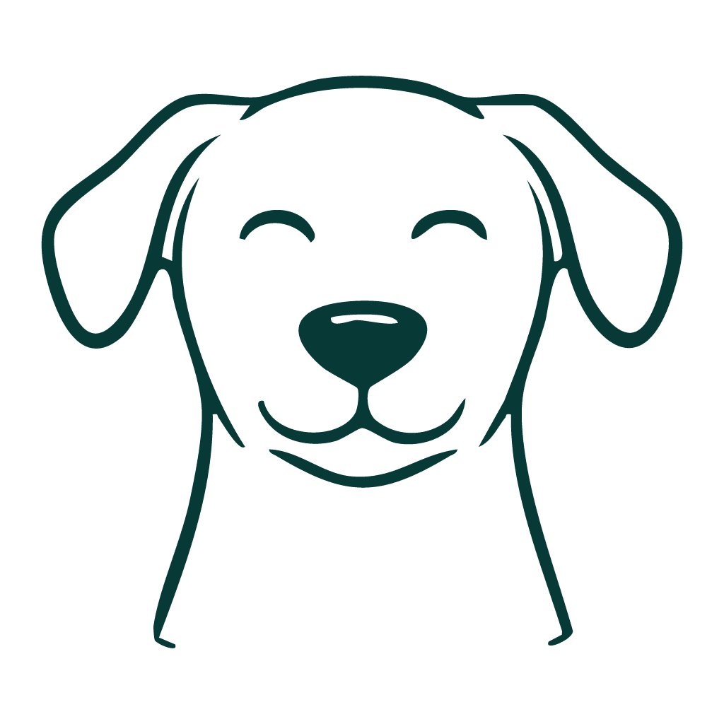 drawing of a happy looking dog