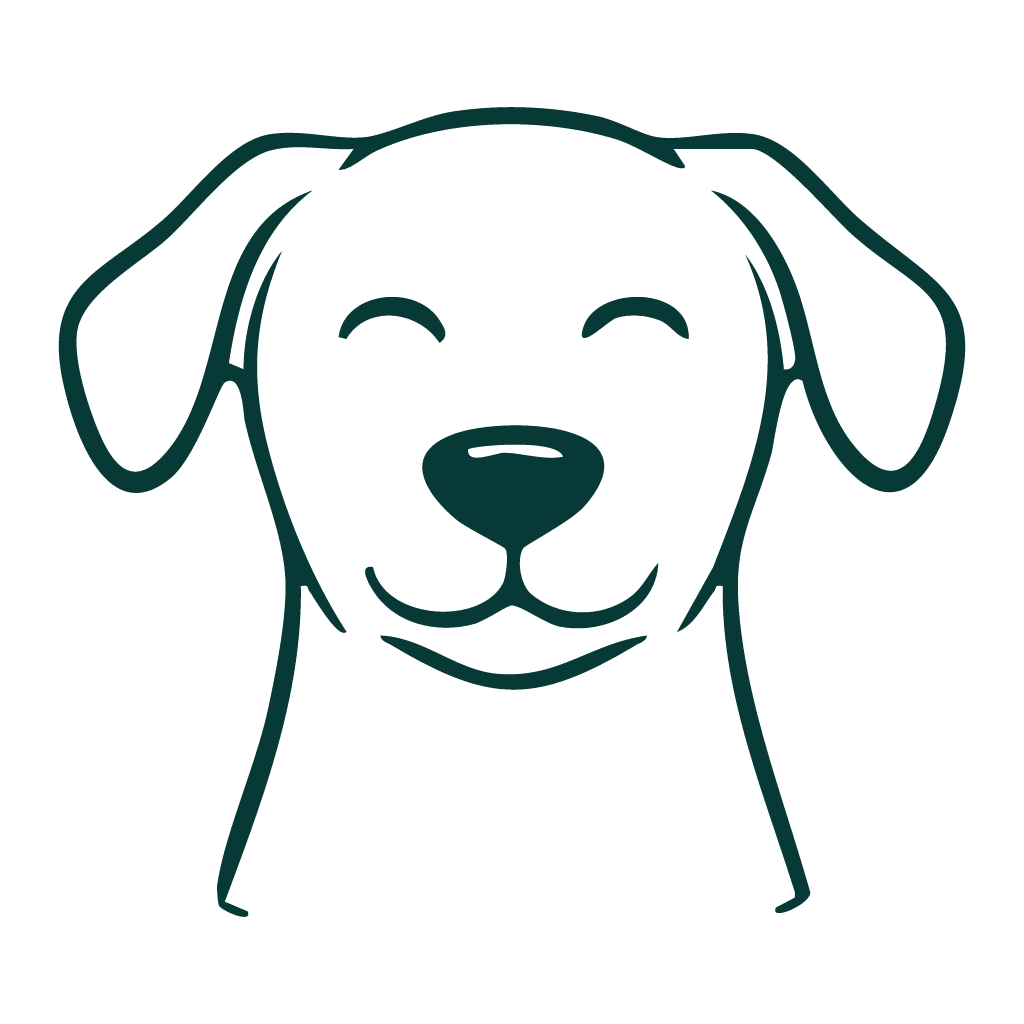 drawing of a happy looking dog